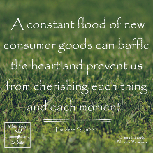 LS - cherish each thing