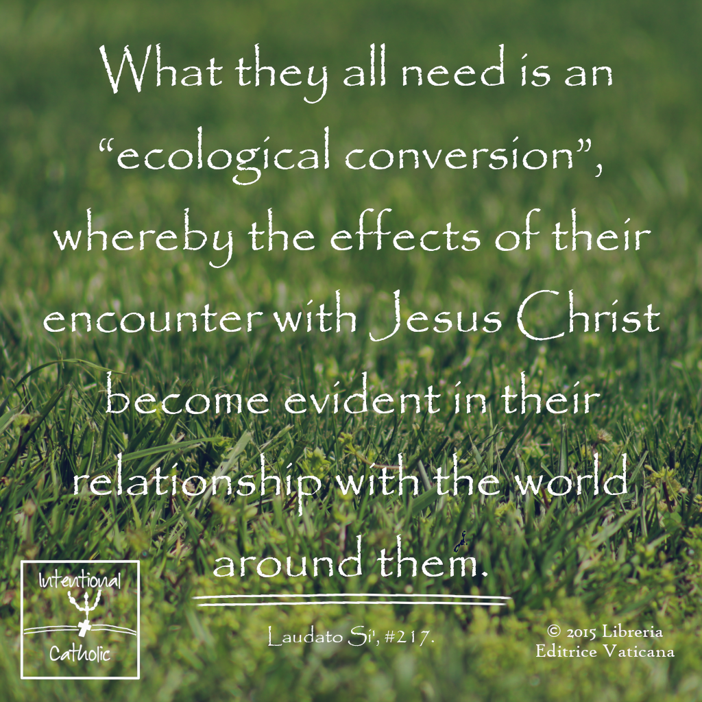 LS - ecological conversion