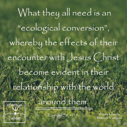 LS - ecological conversion