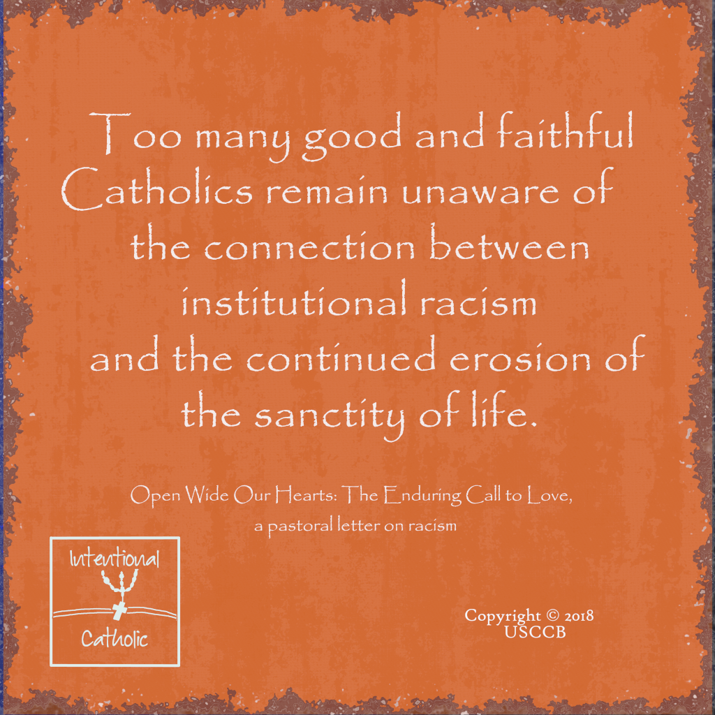 Open Wide-Faithful Catholics-Institutional Racism
